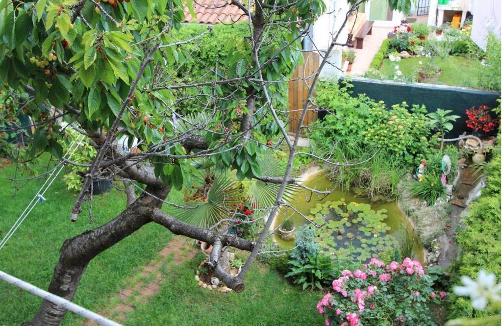 Отель Lovely Family House Robi Ровинь Экстерьер фото